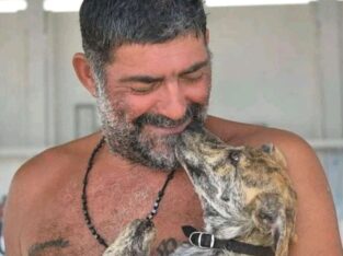 Χάθηκε το σκυλάκι της φωτογραφίας στο Κολυμπάρι Χανίων. Σκύλος- Κολυμβάρι