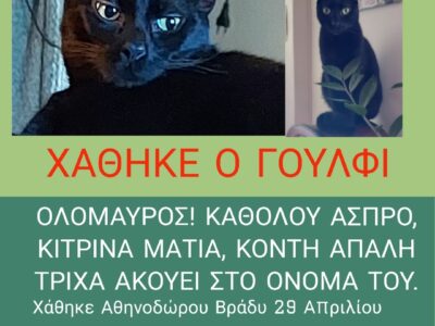 Χάθηκε ΟΛΟΜΑΥΡΟΣ Γάτος Γούλφι – Πραξιτέλους 36