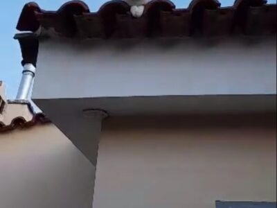 ΧΑΘΗΚΕ ΓΑΤΟΣ Γάτα- Βασ. Κωνσταντίνου