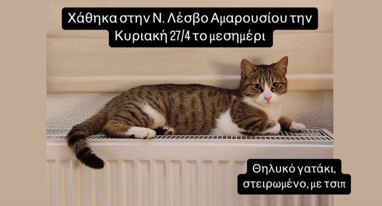 ΧΑΘΗΚΕ ΓΑΤΑ Μελίσσια / Ν.Λέσβος Αμαρουσίου Γάτα- Μαρούσι