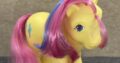 Cactus my little pony Προσωπικο Αντικείμενο- Μισιρια ρεθυμνο
