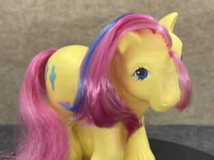 Cactus my little pony Προσωπικο Αντικείμενο- Μισιρια ρεθυμνο