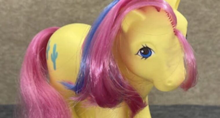 Cactus my little pony Προσωπικο Αντικείμενο- Μισιρια ρεθυμνο