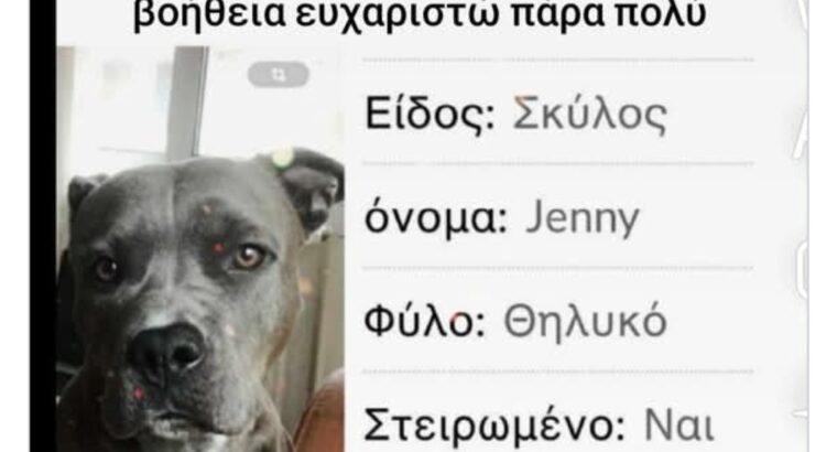 Ψάχνουμε την τζεννυ Σκύλος- Περαία